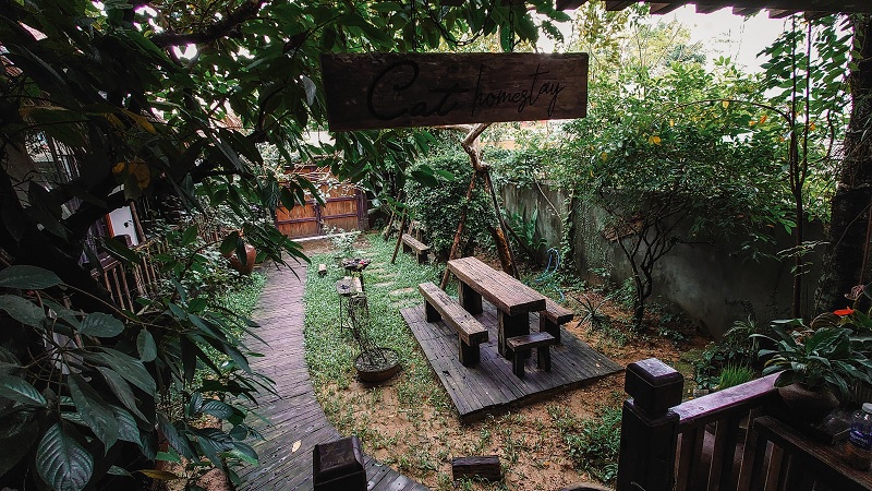 Không gian tại Cat Homestay Huế.