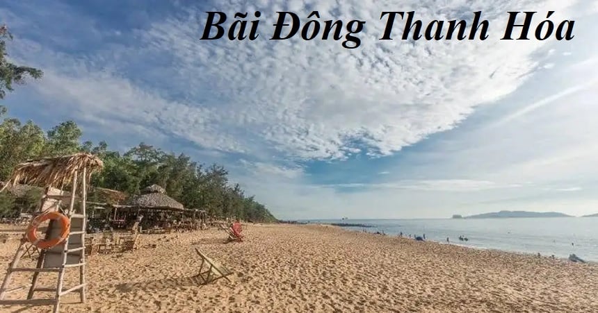 Bãi Đông Thanh Hóa có gì chơi? Khám phá Bãi Đông có gì thú vị.