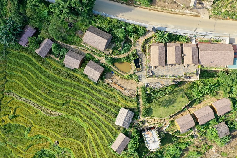 Đánh giá Eco Palms House.