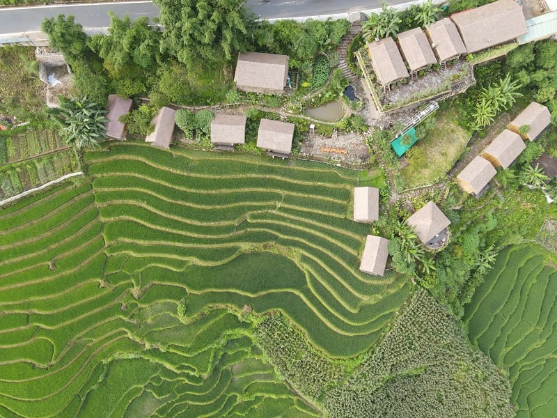 Địa chỉ Eco Palms House ở đâu?